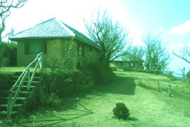 Oyo 43476 Vatika Resort Shimla Bagian luar foto