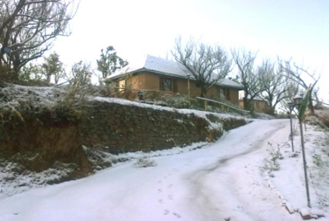 Oyo 43476 Vatika Resort Shimla Bagian luar foto