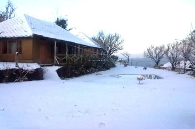 Oyo 43476 Vatika Resort Shimla Bagian luar foto