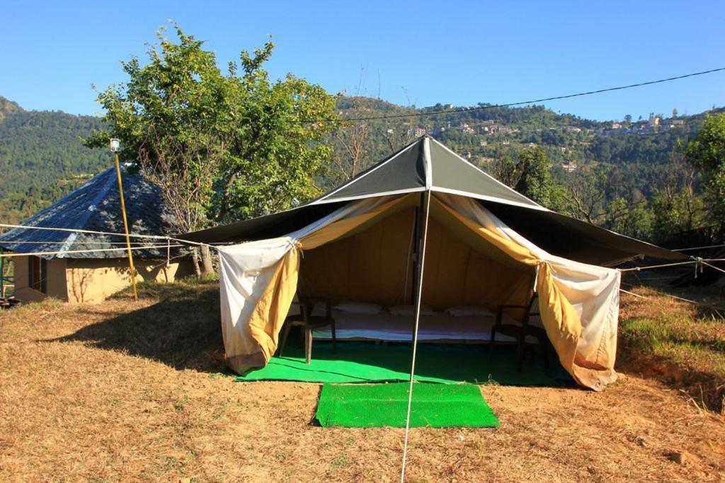 Oyo 43476 Vatika Resort Shimla Bagian luar foto
